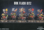 Orks: Flash Gitz (5)