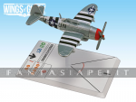 Wings Of Glory: Republic P-47D Thunderbolt (Raymond)