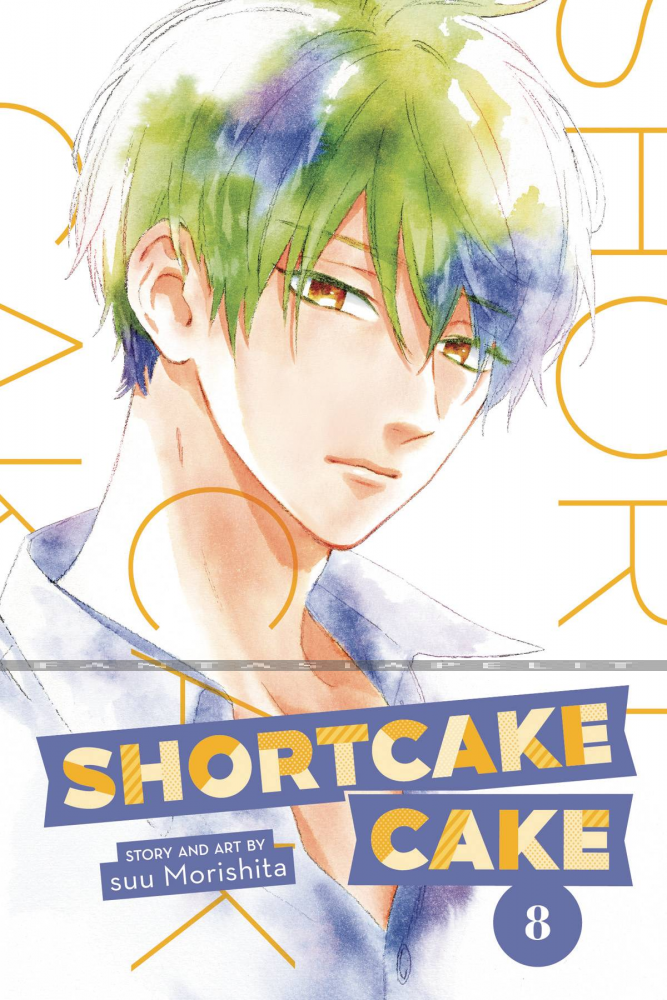 Shortcake Cake 08