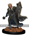 Icons of the Realms Premium: Elf Male Cleric
