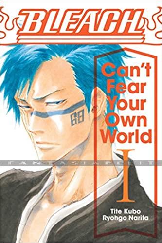Bleach: Can't Fear Your Own World Light Novel 1