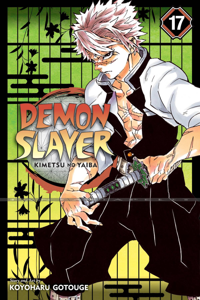 Demon Slayer: Kimetsu No Yaiba 17