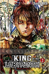 King of Labyrinth Light Novel 2: Birth of a Hero (HC)
