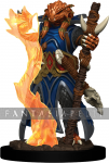 Icons of the Realms Premium: Dragonborn Sorcerer Female