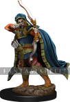 Icons of the Realms Premium: Elf Rogue Male