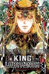 King of Labyrinth Light Novel 3: Gods, Beasts, and Humans (HC)