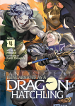 Reincarnated as a Dragon Hatchling Light Novel 4