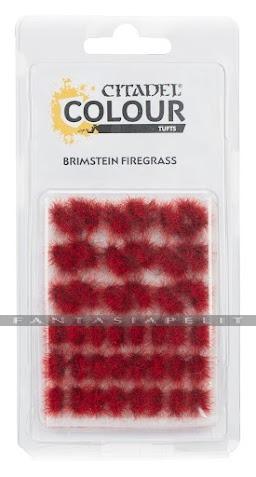 Brimstein Firegrass Tuft