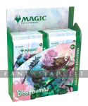 Magic the Gathering: Bloomburrow Collector Booster DISPLAY (12)