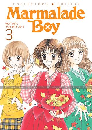Marmalade Boy Collector's Edition 3