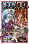 Fairy Tail: 100 Years Quest 12