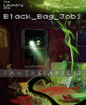 Black Bag Jobs