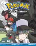 Pokemon Black and White 14