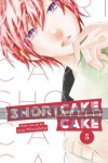 Shortcake Cake 03