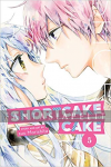 Shortcake Cake 05