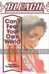 Bleach: Can't Fear Your Own World Light Novel 2