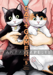 Cat Gamer 5