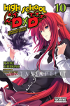 High School DXD Light Novel 10: Lionheart of the Academy Festival