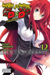 High School DXD Light Novel 12: Supplementary Lesson Heroes