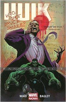 Hulk 1: Banner D.O.A.