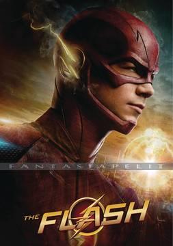 Flash: Ultimate Guidebook (HC)