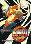 Art of Naruto Uzumaki (HC)
