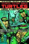 TMNT Ongoing 01: Change is Constant