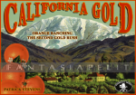 kuva tuotteesta on linkki tuotesivulle: California Gold