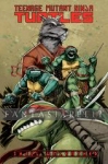 TMNT Ongoing  1: Change is Constant