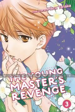 Young Master's Revenge 3