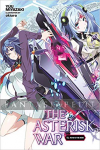 Asterisk War Light Novel 11: The Way of the Sword