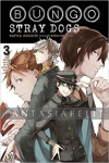 Bungo Stray Dogs Novel 3: Untold Origins Agency