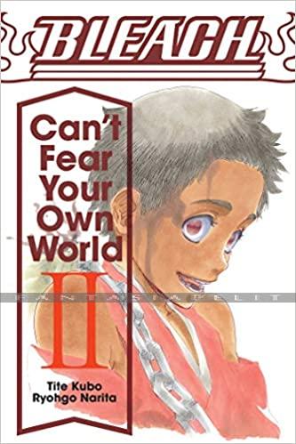 Bleach: Can't Fear Your Own World Light Novel 2