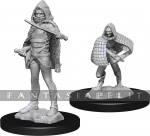 D&D Nolzur's Marvelous Unpainted Miniatures: Darkling Elder & Darklings