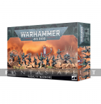 Drukhari: Kabalite Warriors (10)