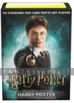 Dragon Shield Matte Art Sleeves: Wizarding World, Harry Potter (100)