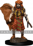 Icons of the Realms Premium: Human Druid Male
