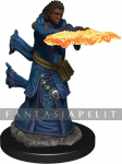Icons of the Realms Premium: Human Wizard Female