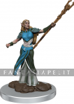 Icons of the Realms Premium: Female Elf Sorcerer