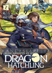 Reincarnated as a Dragon Hatchling Light Novel 2