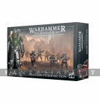 kuva on linkki tuotesivulle: Solar Auxilia: Veletaris Storm section