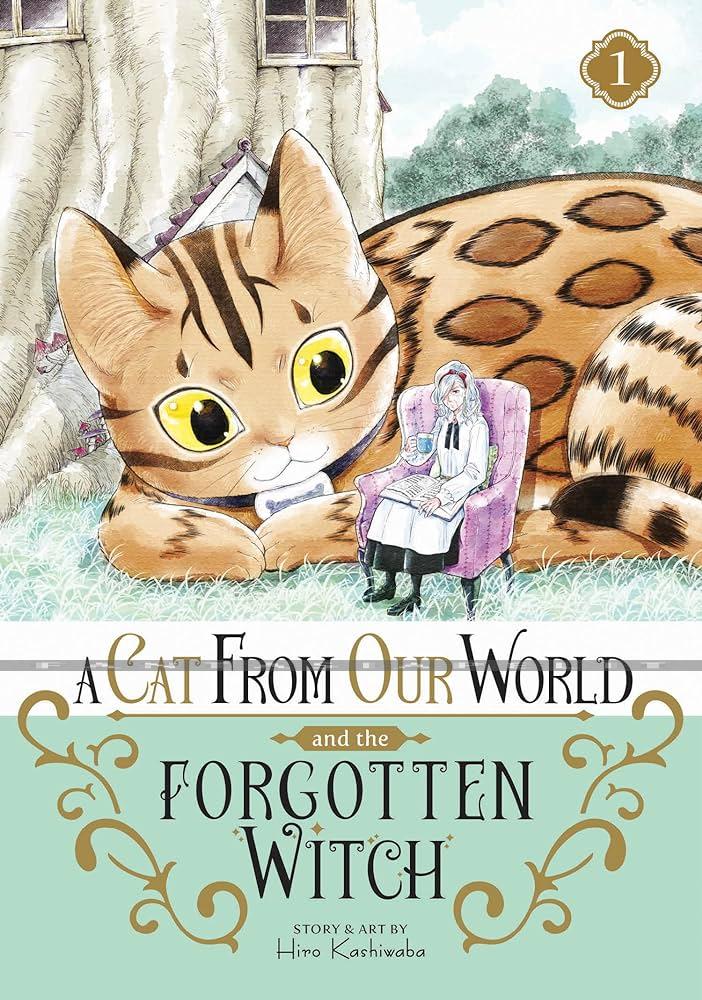 Cat from Our World and the Forgotten Witch 1