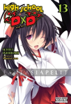 High School DXD Light Novel 13: Issei SOS