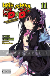 High School DXD Light Novel 11: Ouroboros and the Promotion Exam