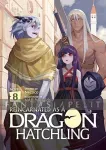 kuva on linkki tuotesivulle: Reincarnated as a Dragon Hatchling Light Novel 08