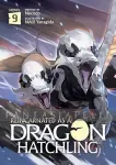 kuva on linkki tuotesivulle: Reincarnated as a Dragon Hatchling Light Novel 09