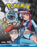Pokemon Black and White 10