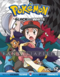 Pokemon Black and White 12