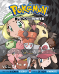 Pokemon Black and White 13