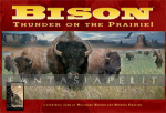 Bison: Thunder on the Prairie
